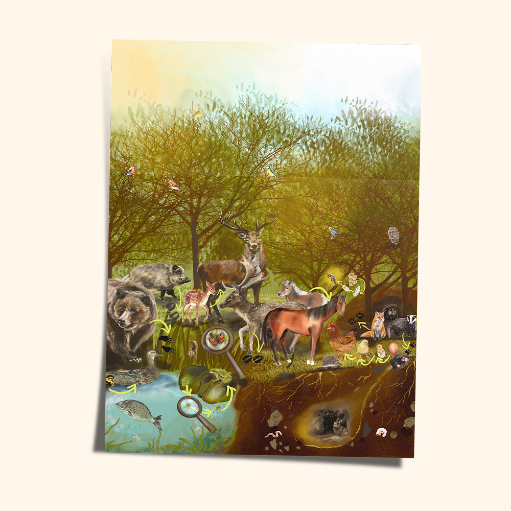 Magnetbaukasten COLORMAG CLEAR