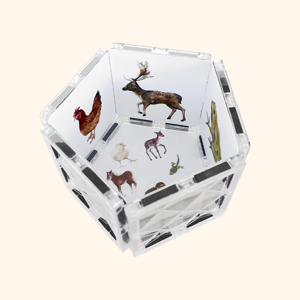 Magnetbaukasten COLORMAG CLEAR