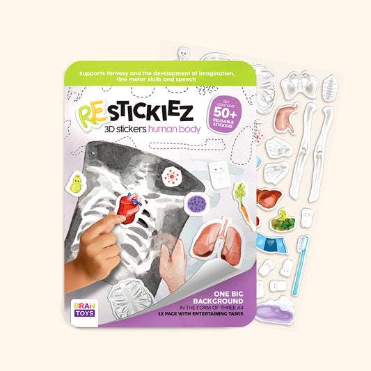 3D REstickiez - Menschlicher Körper