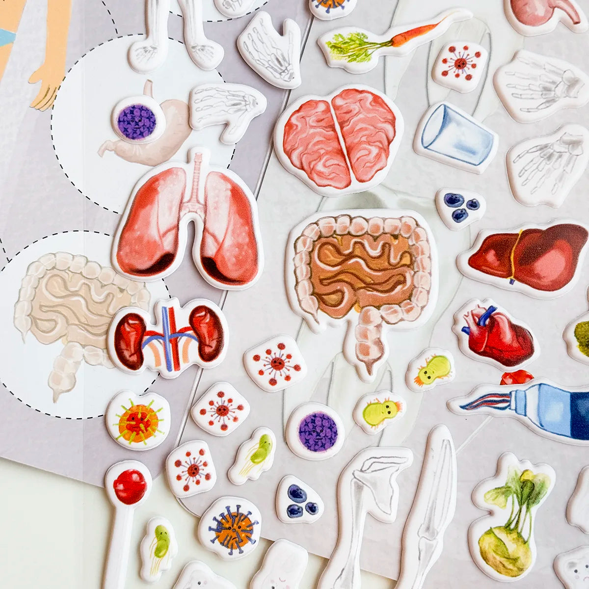 3D REstickiez - Menschlicher Körper