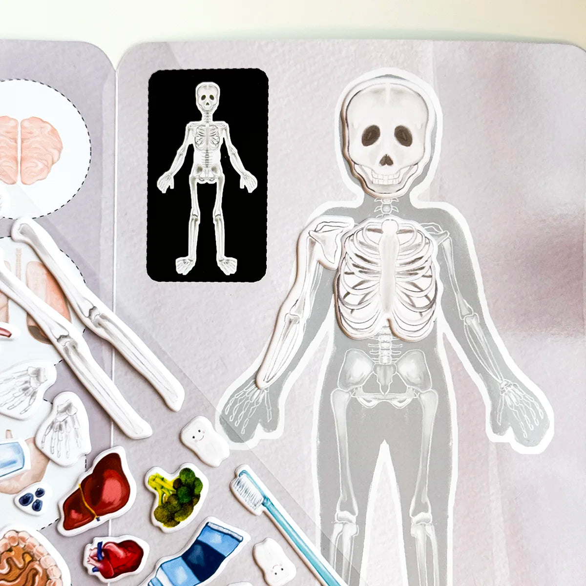 3D REstickiez - Menschlicher Körper